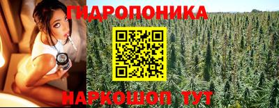 гидропоника Краснознаменск