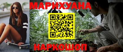 гидропоника Краснознаменск