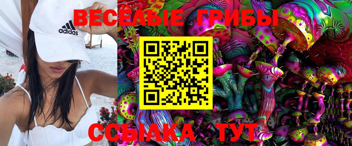 Псилоцибиновые грибы прущие грибы Кировск