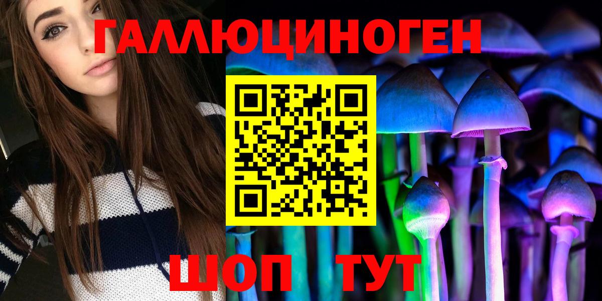 Кировск  Псилоцибиновые грибы Psilocybine cubensis  Псилоцибиновые грибы Psilocybe  Вход с VPN 